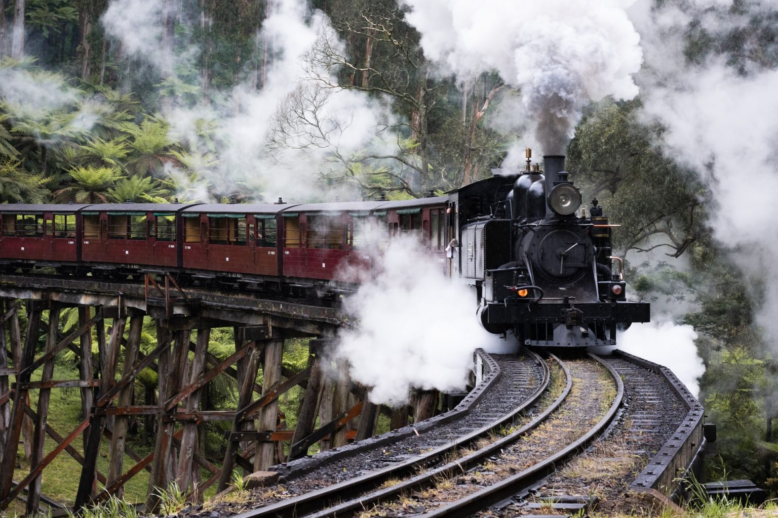 The Puffing Billy, Belgrave VIC